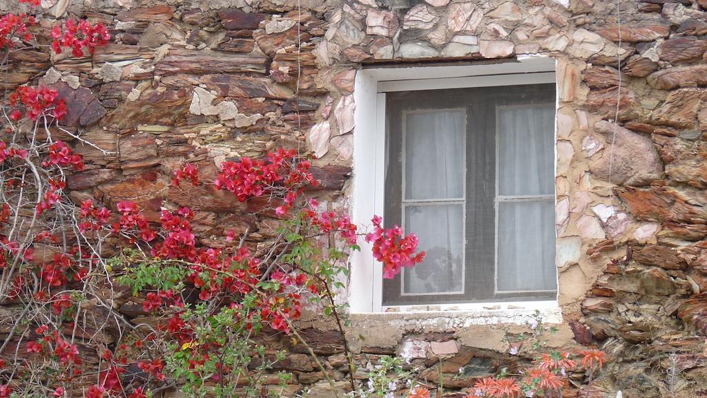 Born To Stay In Milfontes Vila Nova de Milfontes Ngoại thất bức ảnh
